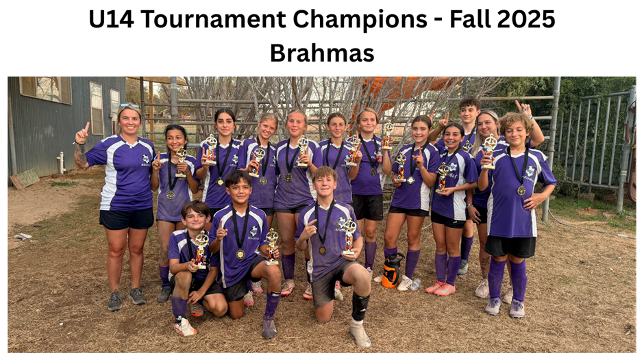 WCSL: Molding the future of soccer...